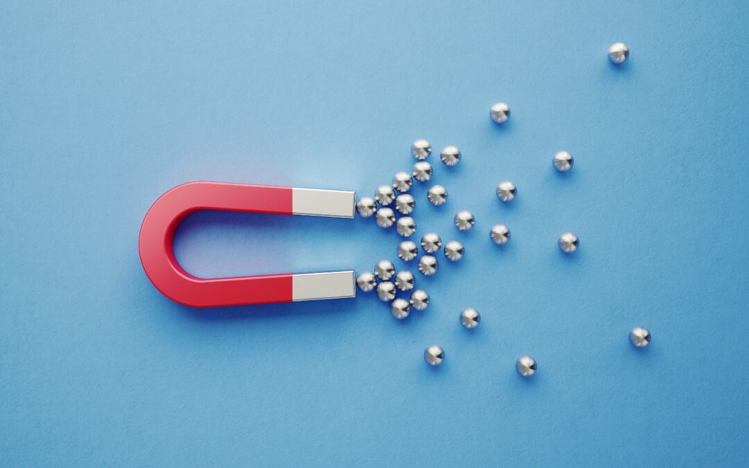 Tap Every Universal Law of Attraction to Pursue the Means to Live Your Magical Dreams